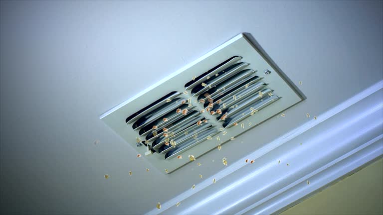 Air Duct Mold Removal in Camano, WA