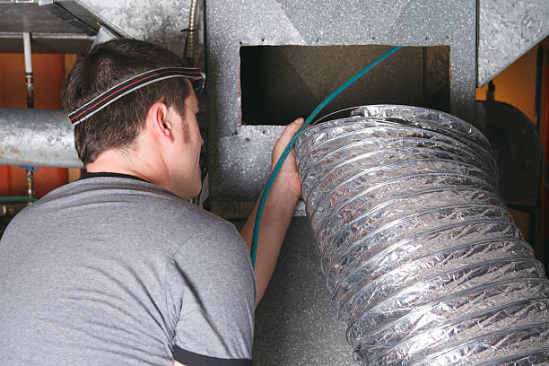 Best Air Duct Mold Removal  in Camano, WA